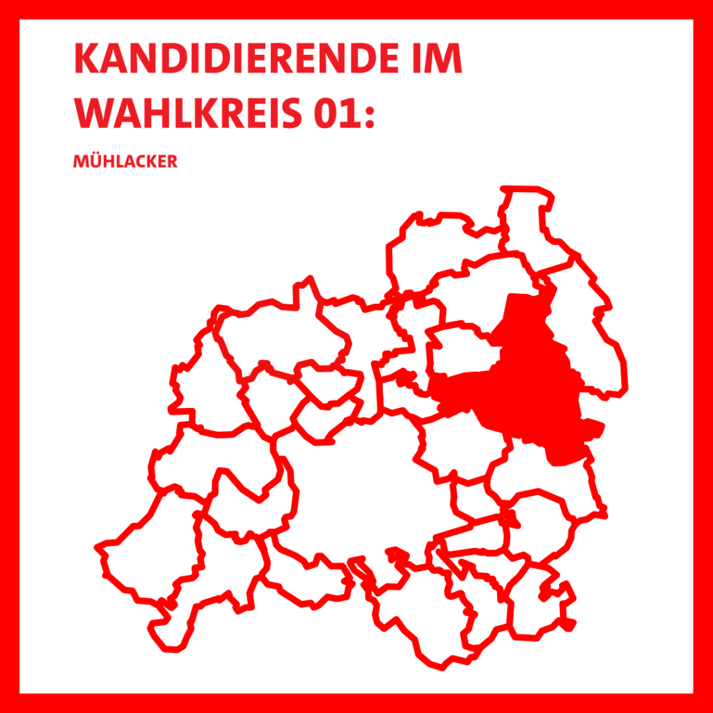 Kandidierende Wahlkreis 1 (Mühlacker)